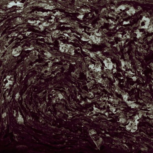 Múspellzheimr : Múspellzheimr - Aiwīgaz Unðergangaz